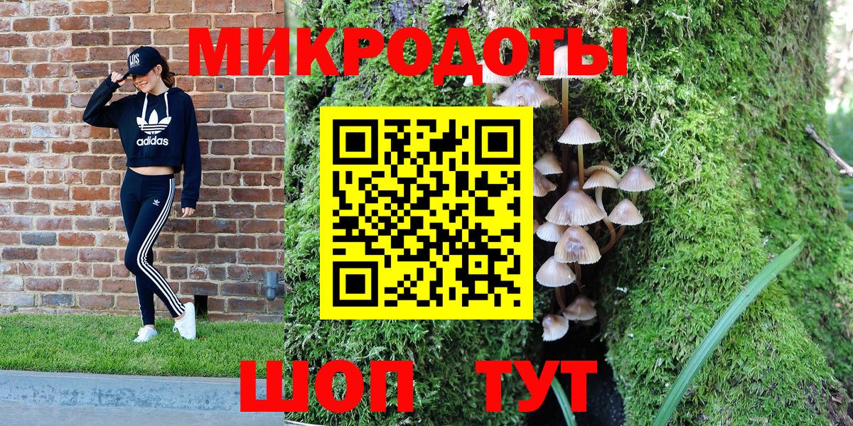 Псилоцибиновые грибы Psilocybe Зерноград
