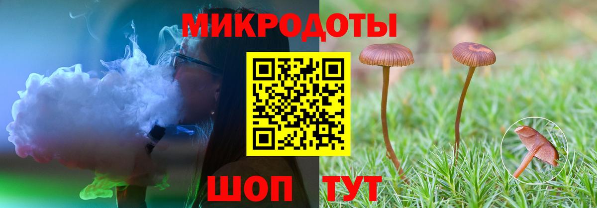 Галлюциногенные грибы GOLDEN TEACHER  Псилоцибиновые грибы Psilocybe  Зерноград  Вход с VPN 