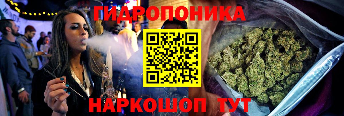 Шишки марихуана гибрид  Вход с VPN  Каннабис сатива  Марихуана марихуана  Зерноград 